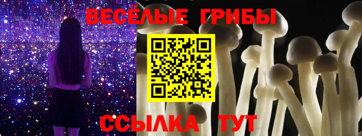 Псилоцибиновые грибы прущие грибы  Вход с VPN  Ростов Великий 