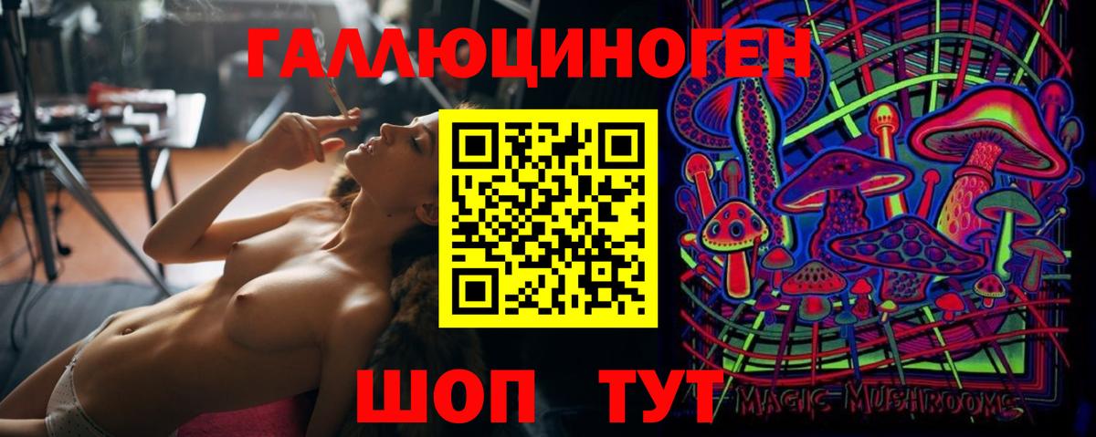 Псилоцибиновые грибы Psilocybine cubensis Ростов Великий